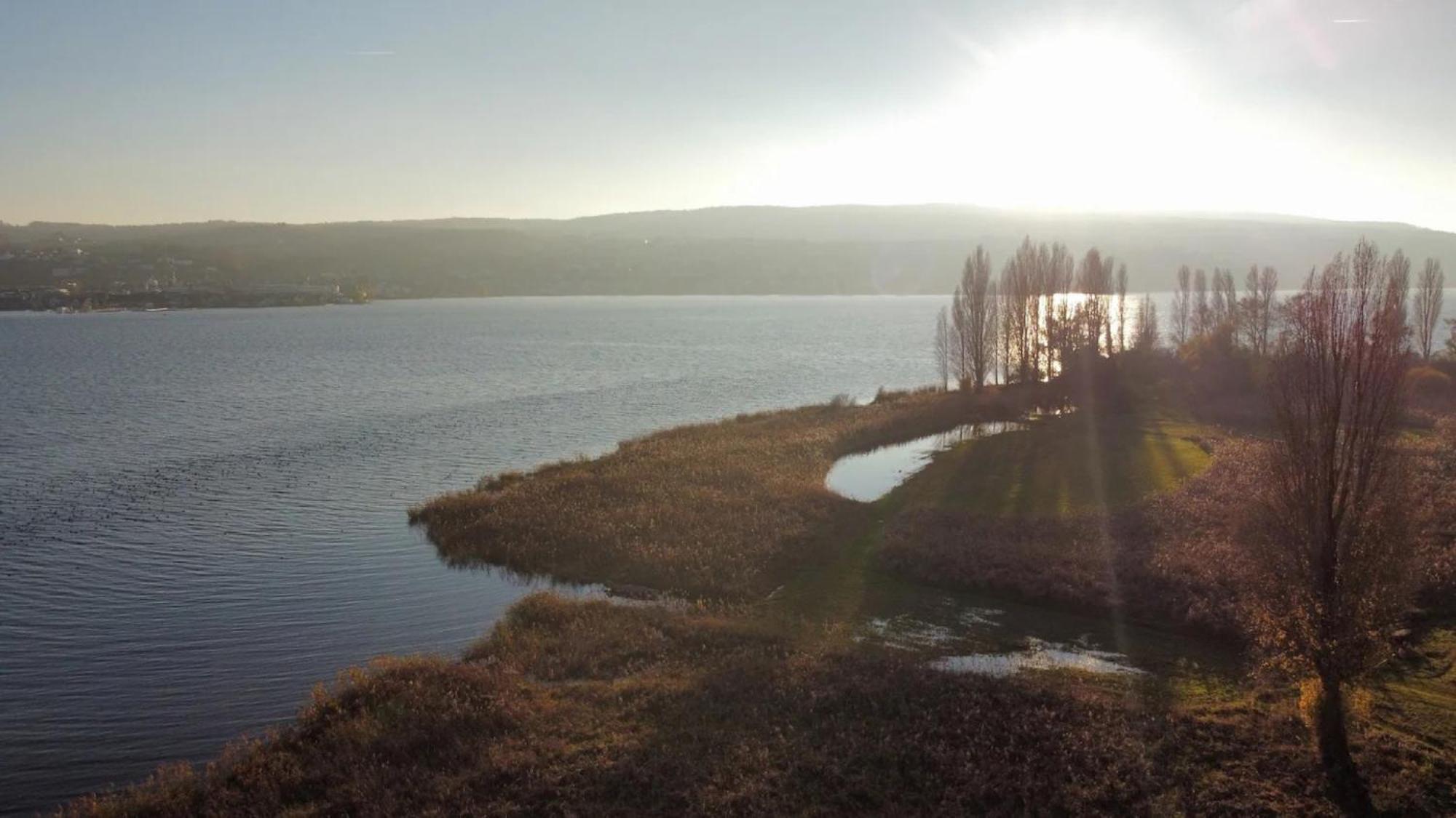 Seeluft Direkt Am Wasser Reichenau Exterior foto